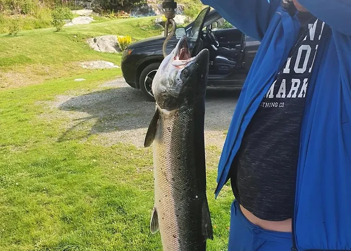 Modern House In Front Of Midnight Sun *