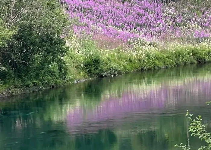 Modern House In Front Of Midnight Sun 빌라