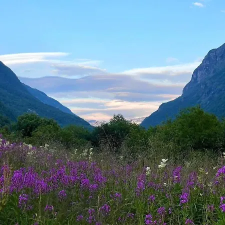 Modern House In Front Of Midnight Sun *